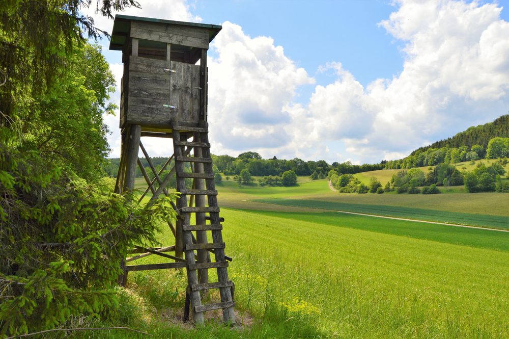 jagdschein machen