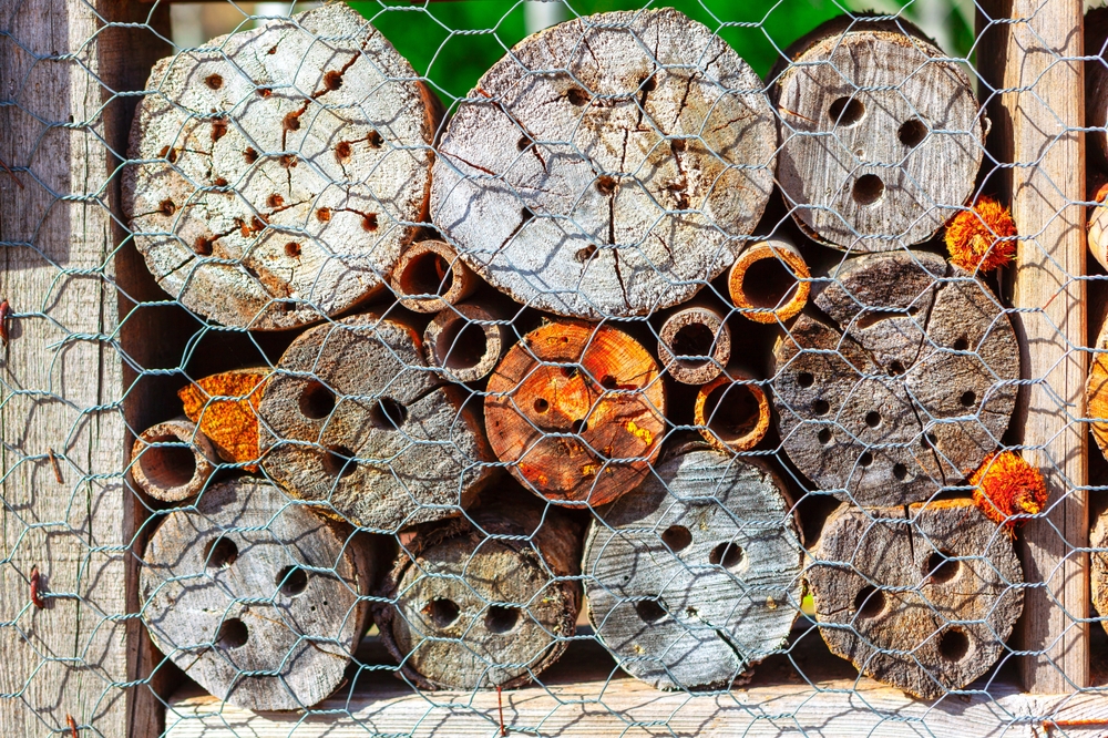 insektenhotel