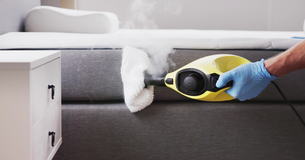 sofa reinigen