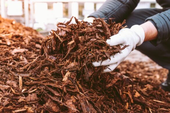 Rindenmulch